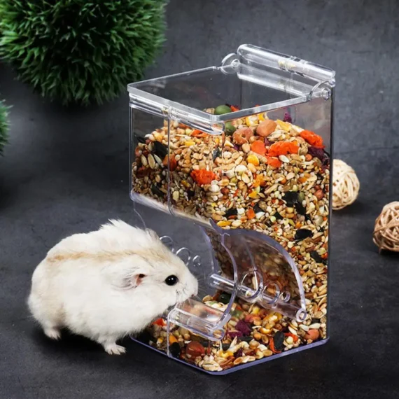 Distributeur de Nourriture en Plastique Transparent pour Hamster et Lapin, Filles existent pour Animaux de Compagnie, Cochons d'Inde